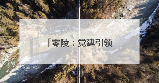 零陵：党建引领 做强蔬菜产业