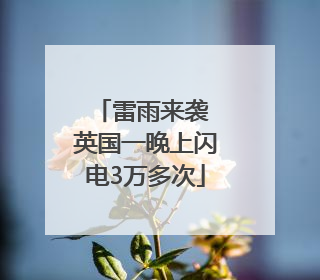 雷雨来袭 英国一晚上闪电3万多次