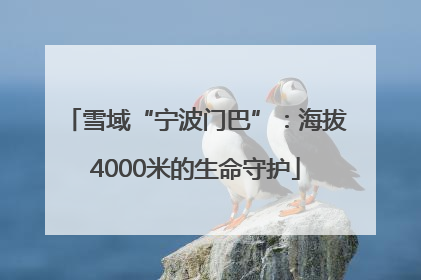 雪域“宁波门巴”：海拔4000米的生命守护