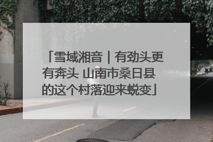 雪域湘音｜有劲头更有奔头 山南市桑日县的这个村落迎来蜕变
