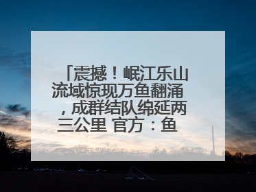 震撼！岷江乐山流域惊现万鱼翻涌，成群结队绵延两三公里 官方：鱼群在此产卵