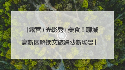 露营+光影秀+美食！聊城高新区解锁文旅消费新场景