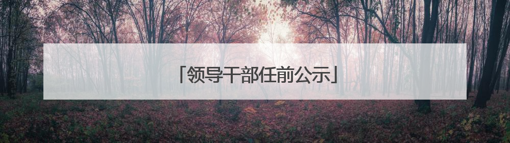 领导干部任前公示