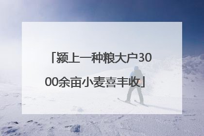 颍上一种粮大户3000余亩小麦喜丰收