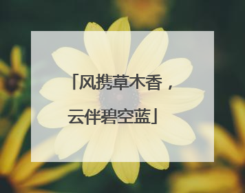 风携草木香，云伴碧空蓝