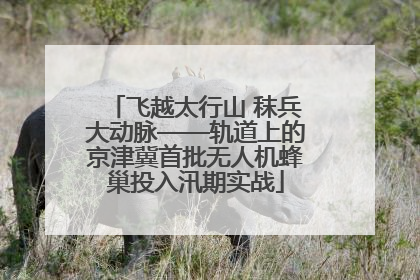 飞越太行山 秣兵大动脉——轨道上的京津冀首批无人机蜂巢投入汛期实战