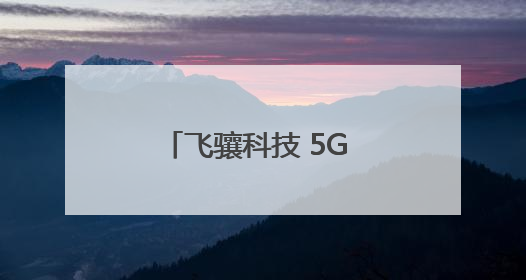 飞骧科技 5G 模组入驻三星 / 荣耀高端机型，实现白牌到高端跨越