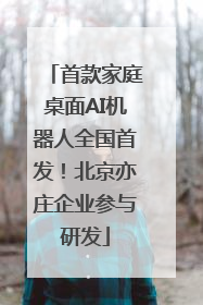 首款家庭桌面AI机器人全国首发！北京亦庄企业参与研发
