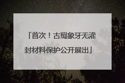首次！古蜀象牙无灌封材料保护公开展出