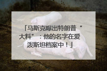 马斯克曝出特朗普“大料”：他的名字在爱泼斯坦档案中！