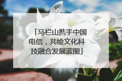 马栏山携手中国电信，共绘文化科技融合发展蓝图
