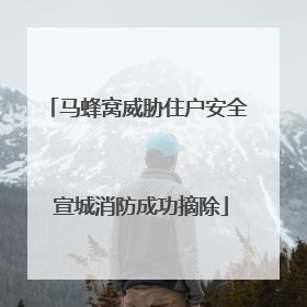 马蜂窝威胁住户安全 宣城消防成功摘除