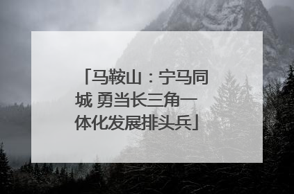 马鞍山：宁马同城 勇当长三角一体化发展排头兵