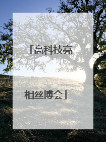 高科技亮相丝博会