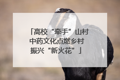 高校“牵手”山村 中药文化点燃乡村振兴“新火花”