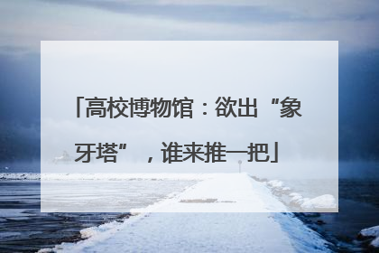 高校博物馆：欲出“象牙塔”，谁来推一把