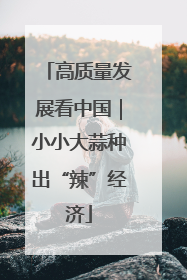 高质量发展看中国｜小小大蒜种出“辣”经济