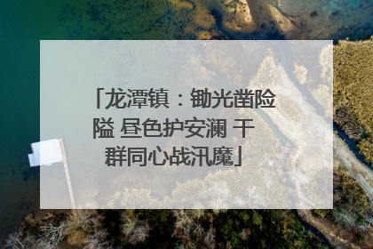 龙潭镇：锄光凿险隘 昼色护安澜 干群同心战汛魔