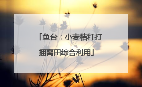 鱼台：小麦秸秆打捆离田综合利用