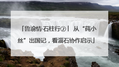 鲁渝情·石柱行② ︳从“莼小丝”出国记，看淄石协作启示