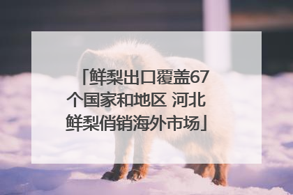 鲜梨出口覆盖67个国家和地区 河北鲜梨俏销海外市场