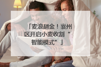 麦浪翻金！襄州区开启小麦收割“智能模式”
