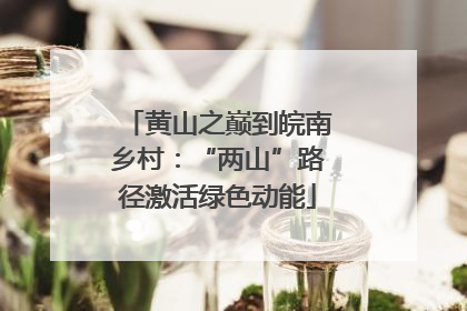 黄山之巅到皖南乡村：“两山”路径激活绿色动能