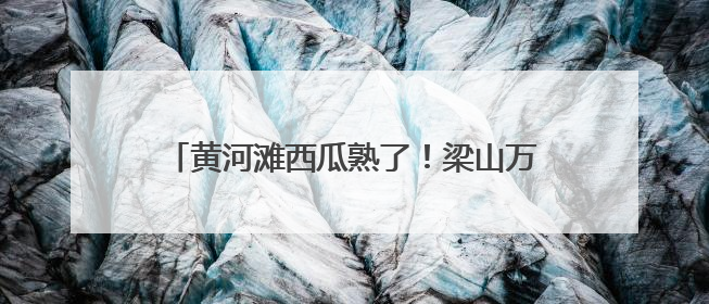 黄河滩西瓜熟了！梁山万余亩沙瓤瓜直达市民餐桌