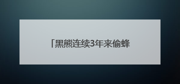 黑熊连续3年来偷蜂蜜 村民防盗花样频出却不伤害：它是保护动物，我有保险兜底