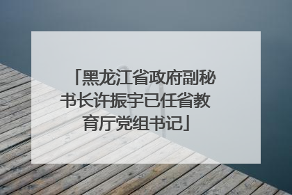 黑龙江省政府副秘书长许振宇已任省教育厅党组书记