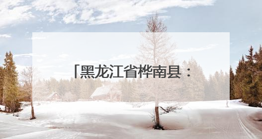黑龙江省桦南县：“一站式”服务解民忧 群众点赞“家门口的便利”