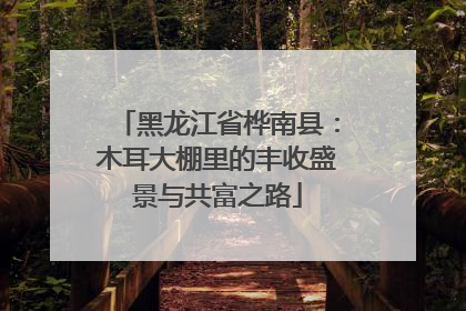 黑龙江省桦南县：木耳大棚里的丰收盛景与共富之路