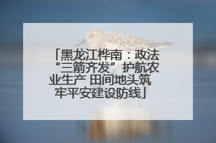 黑龙江桦南：政法“三箭齐发”护航农业生产 田间地头筑牢平安建设防线