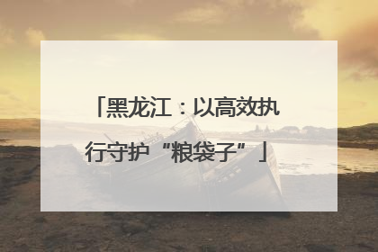 黑龙江：以高效执行守护“粮袋子”