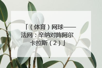 （体育）网球——法网：辛纳对阵阿尔卡拉斯（2）
