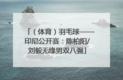 （体育）羽毛球——印尼公开赛：陈柏阳/刘毅无缘男双八强