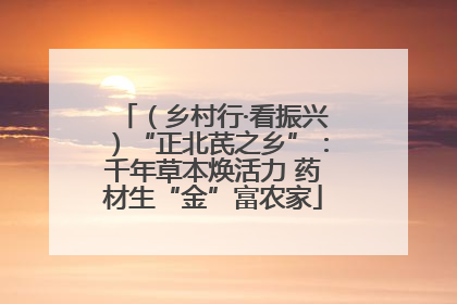 （乡村行·看振兴）“正北芪之乡”：千年草本焕活力 药材生“金”富农家