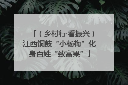 （乡村行·看振兴）江西铜鼓“小杨梅”化身百姓“致富果”