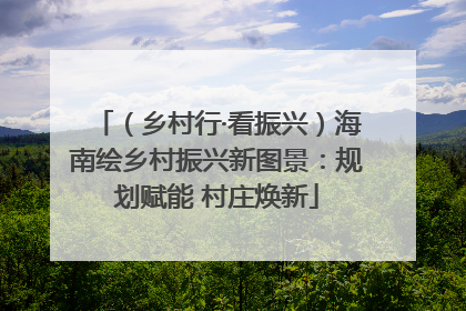 （乡村行·看振兴）海南绘乡村振兴新图景：规划赋能 村庄焕新