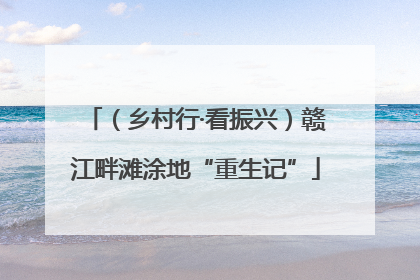 （乡村行·看振兴）赣江畔滩涂地“重生记”