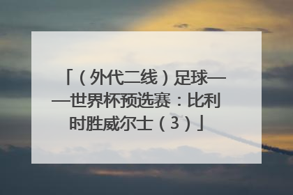 （外代二线）足球——世界杯预选赛：比利时胜威尔士（3）