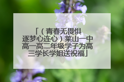 （青春无畏惧   逐梦心连心）莱山一中高一高二年级学子为高三学长学姐送祝福