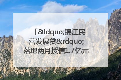 “锦江民营发展贷”落地两月授信1.7亿元，惠及118家民企