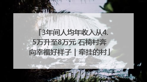 3年间人均年收入从4.5万升至8万元 石椅村奔向幸福好样子｜牵挂的村