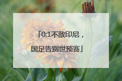 0:1不敌印尼，国足告别世预赛