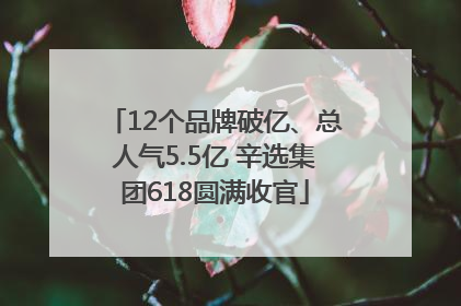 12个品牌破亿、总人气5.5亿 辛选集团618圆满收官