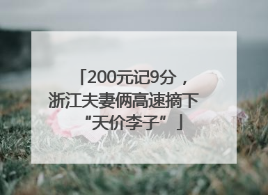 200元记9分，浙江夫妻俩高速摘下“天价李子”