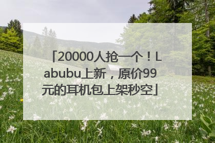 20000人抢一个！Labubu上新，原价99元的耳机包上架秒空