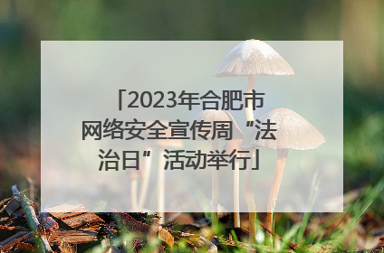 2023年合肥市网络安全宣传周“法治日”活动举行