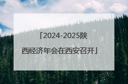 2024-2025陕西经济年会在西安召开